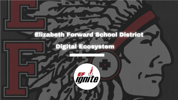 Digital Ecosystem